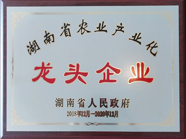 湖南省农业产业化龙头企业（2018-2020）