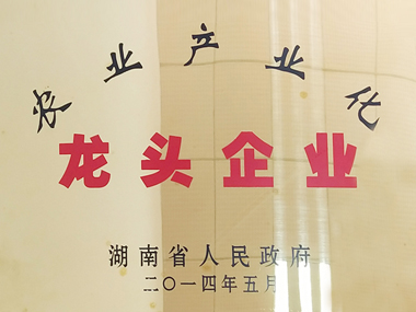 湖南省农业产业化龙头企业（2014）