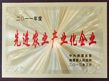 2011年度先进农业产业化企业