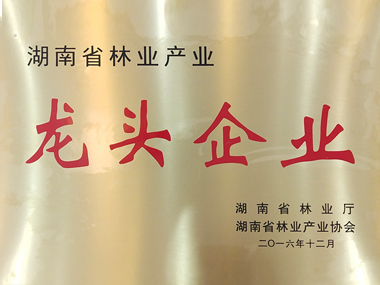 湖南省林业产业龙头企业