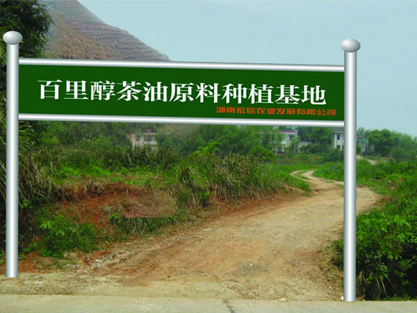 茶油原料种植基地